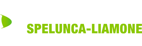 Accueil - Communauté De Communes Spelunca Liamone