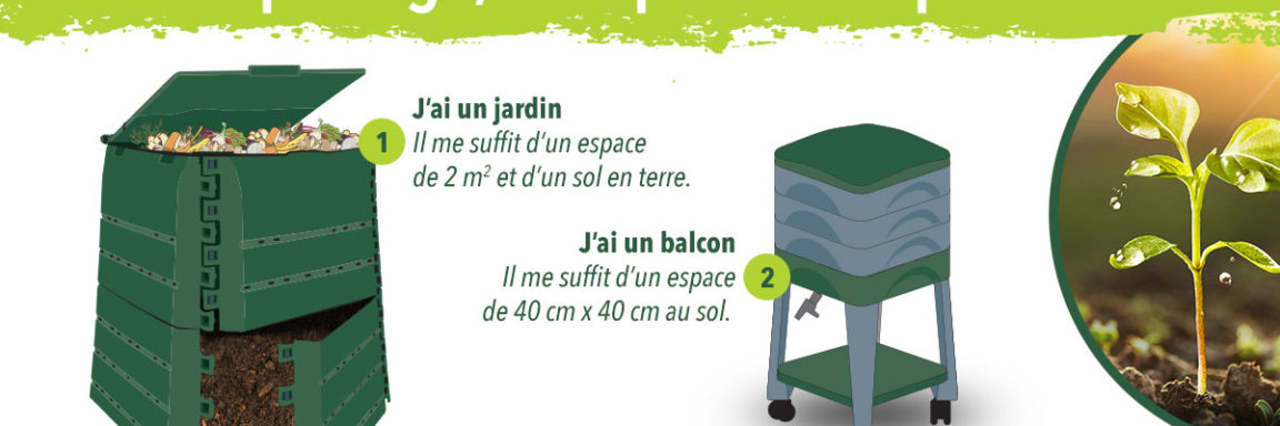 Accueil Communauté de Communes Spelunca Liamone